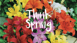 Springing Ahead - Spring School Fundraising Ideas